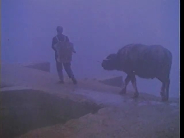 许茂和他的女儿们[北影].Xu Mao and His Daughters.1981.DVD.X264.AAC.HALFCD.mkv_202.jpg