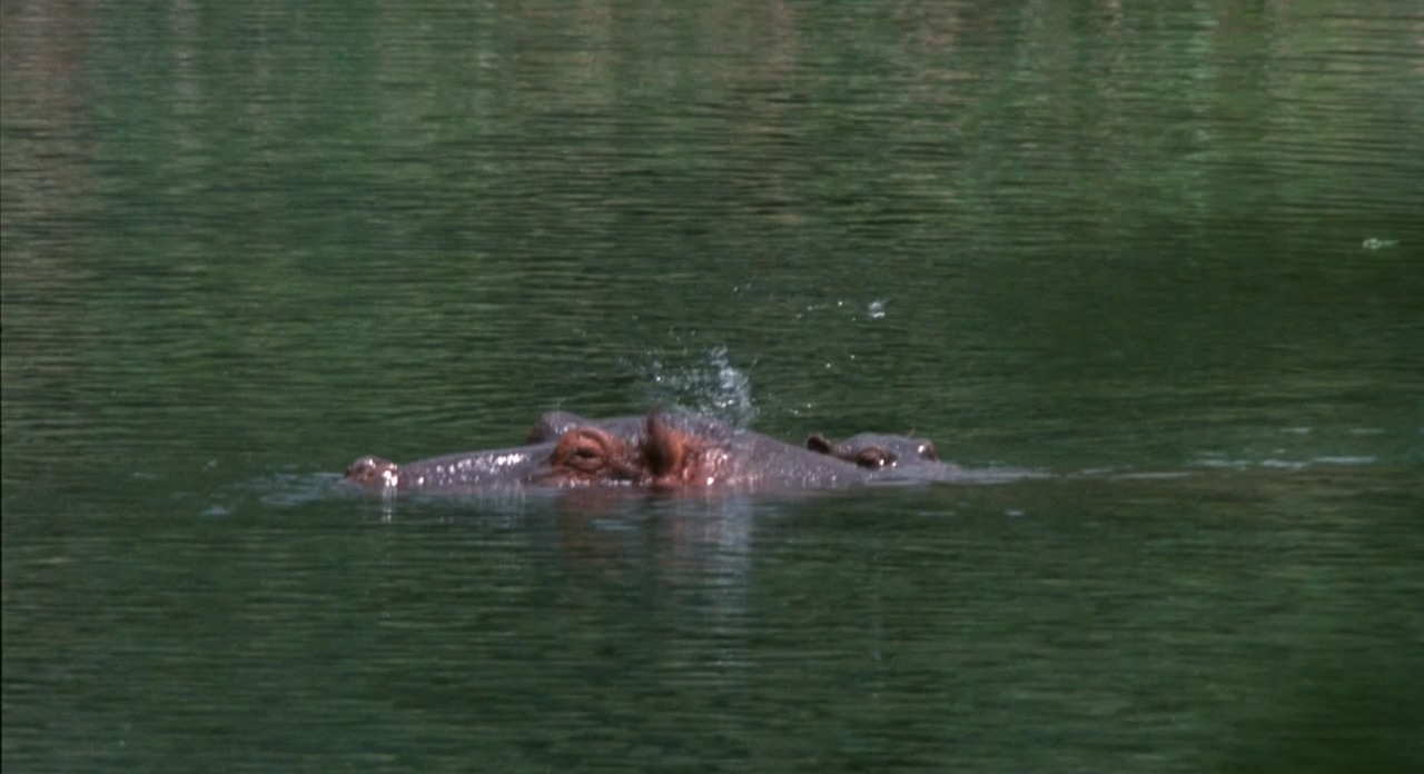 Project.X.1987.720p.BluRay.x264-HD4U .mkv_20250506_224454.467.jpg