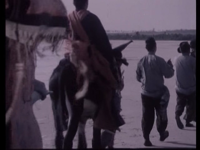 山菊花 1982.mp4_20250508_145252.633.jpg