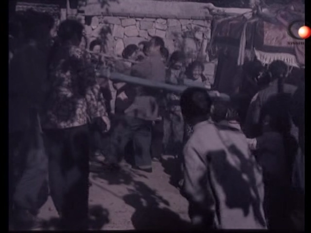 山菊花 1982.mp4_20250508_145336.670.jpg