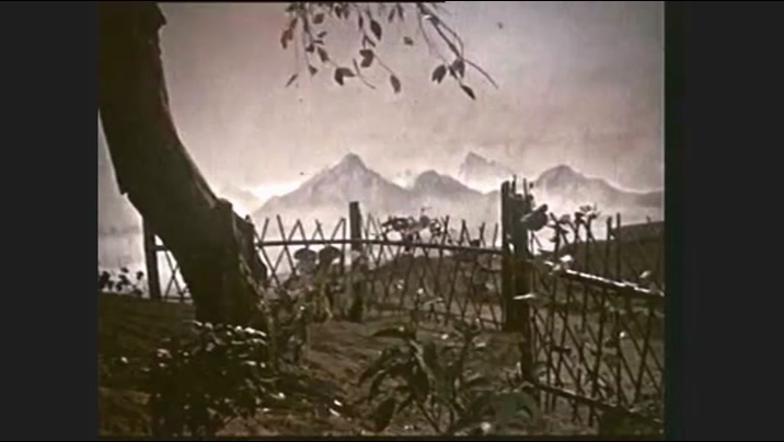 窦娥冤(长影1959).avi_20250508_215719.876.jpg