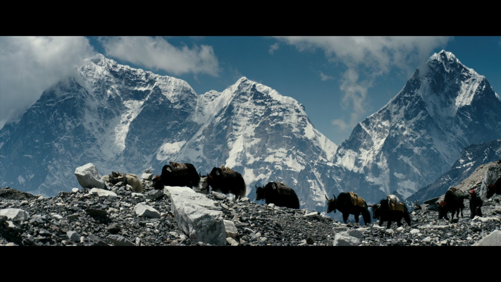 绝命海拔.Everest.2015.1080p.BluRay.10bit.x265.重混国语DTS(5.1.1536Kbps).国英双语.jpg