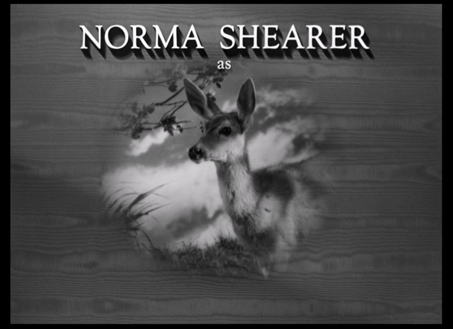 女人们(淑女争宠记).The Women.1939.国英双语.中英双字.BluRay.1080p.X264.AC3 (1).mk.jpg