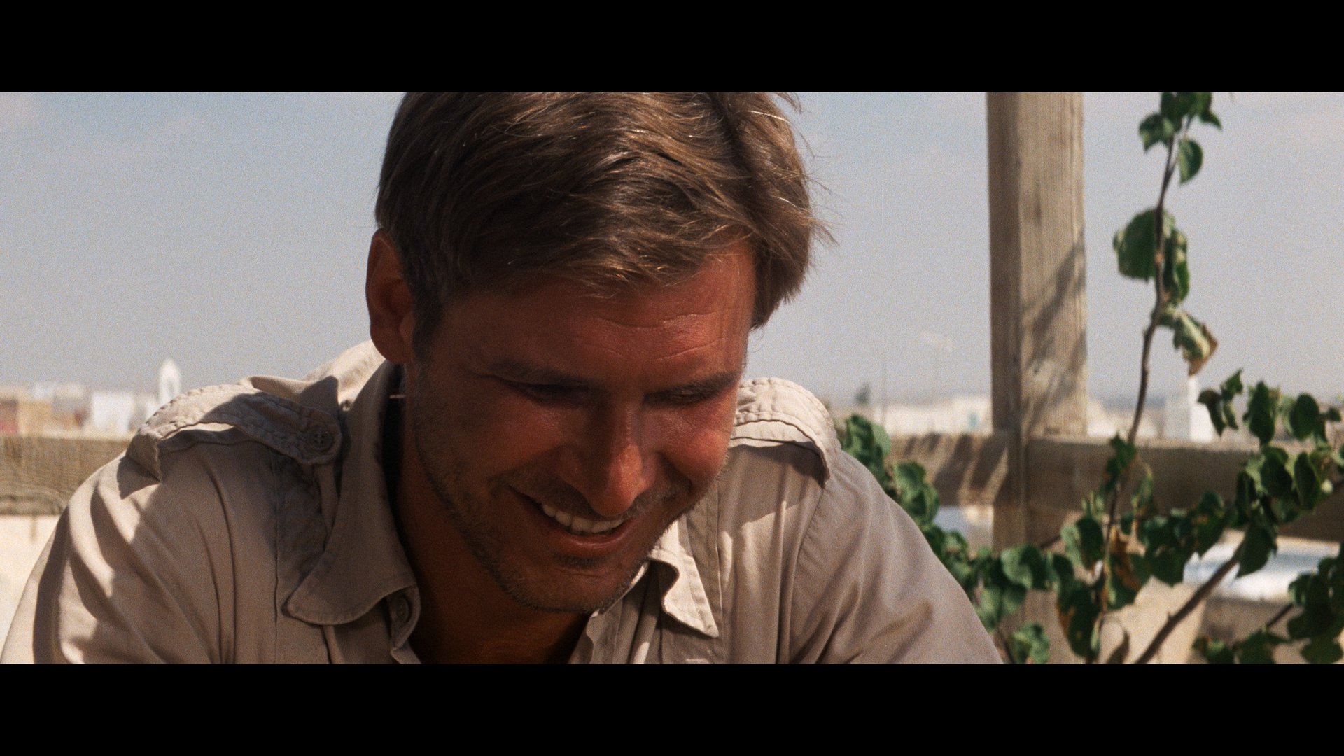 夺宝奇兵 (1981).mkv_003533.340.png