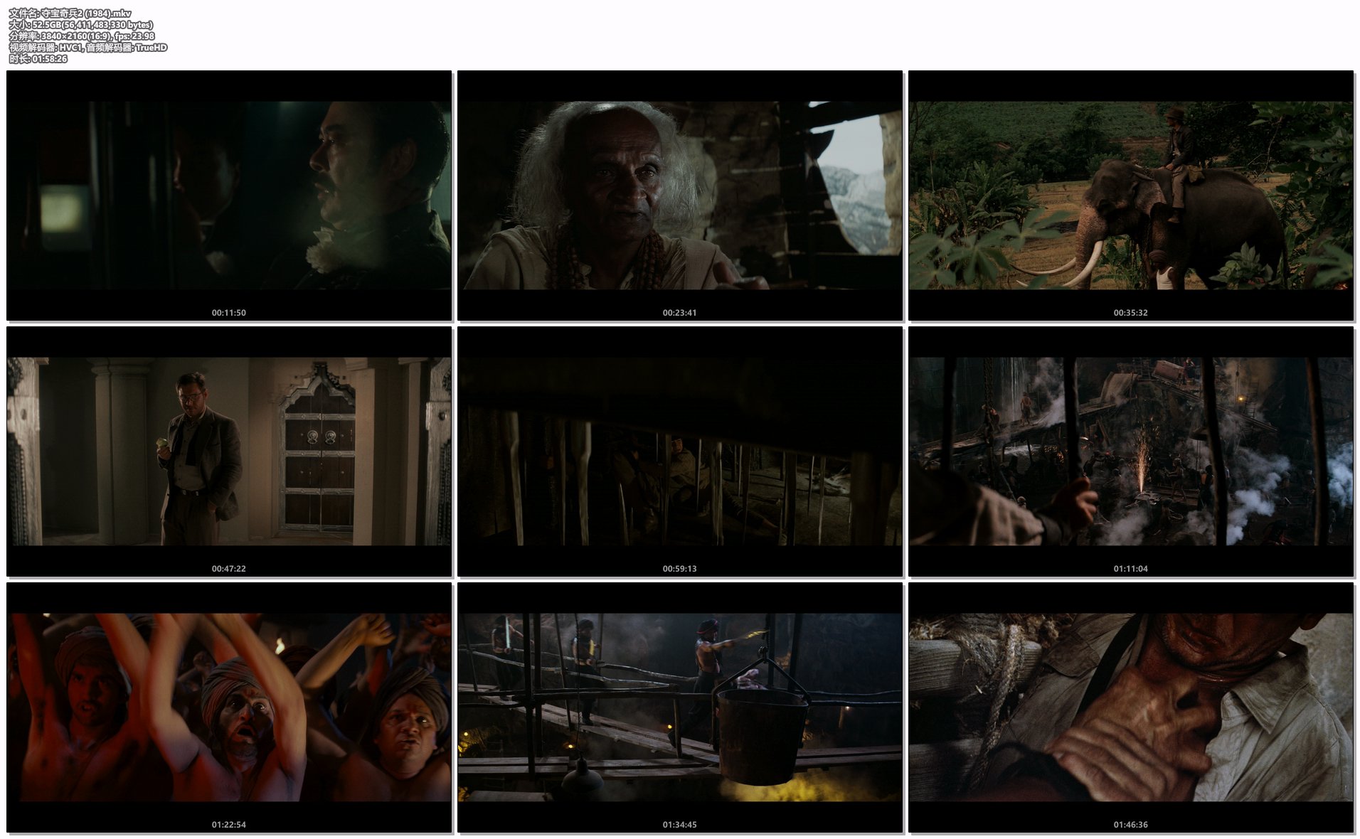 夺宝奇兵2 (1984).mkv.png