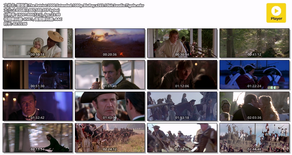 爱国者.The.Patriot.2000.Extended.1080p.BluRay.x265.10bit.3audio.Tigole.mkv.jpg
