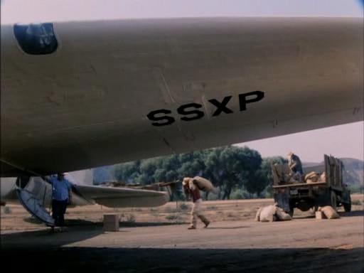 美标-毒蜘蛛1997 国.mp4_20250510_154036.235.jpg