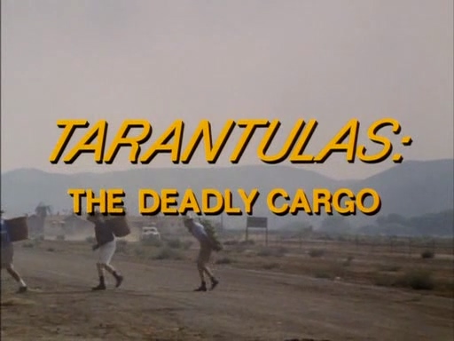 美标-毒蜘蛛1997 国.mp4_20250510_154133.094.jpg