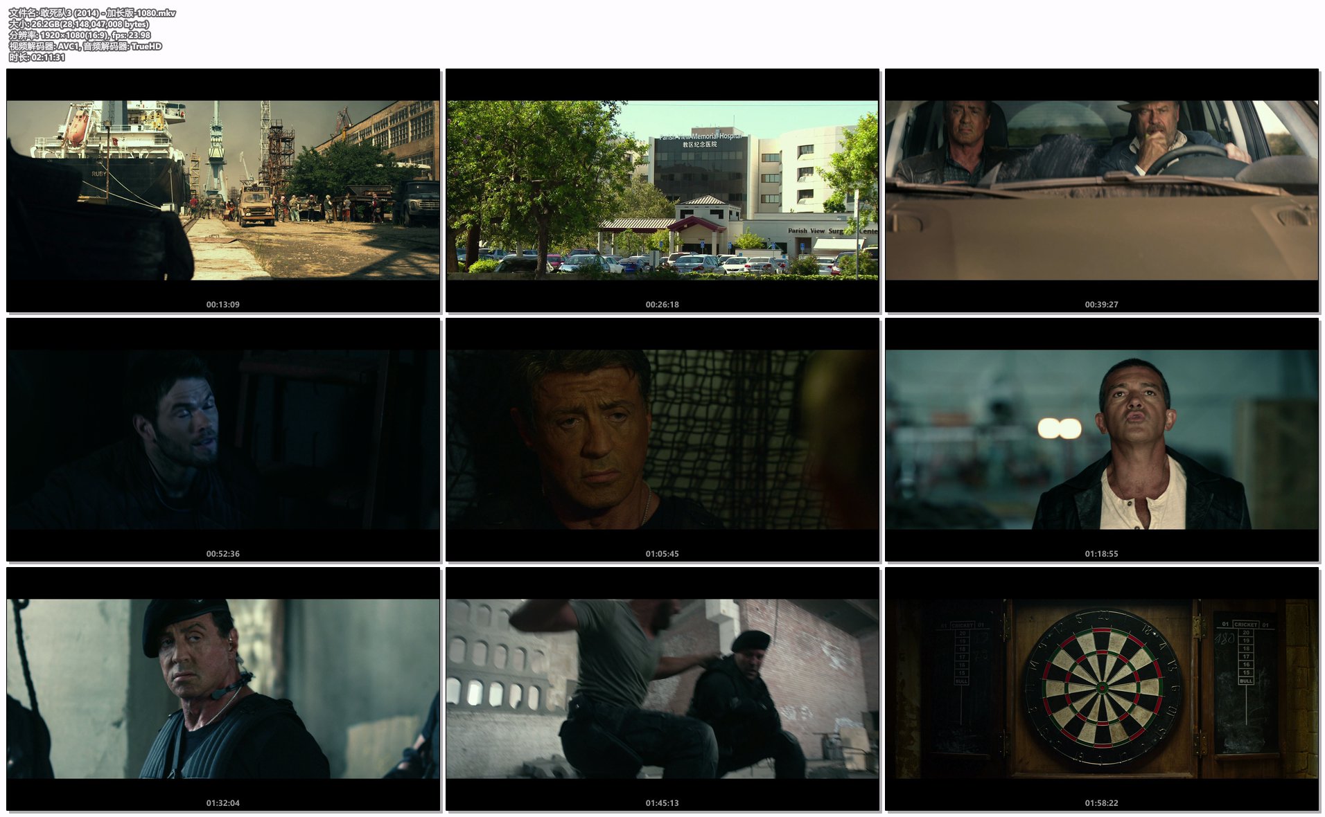 敢死队3 (2014) - 加长版-1080.mkv.png