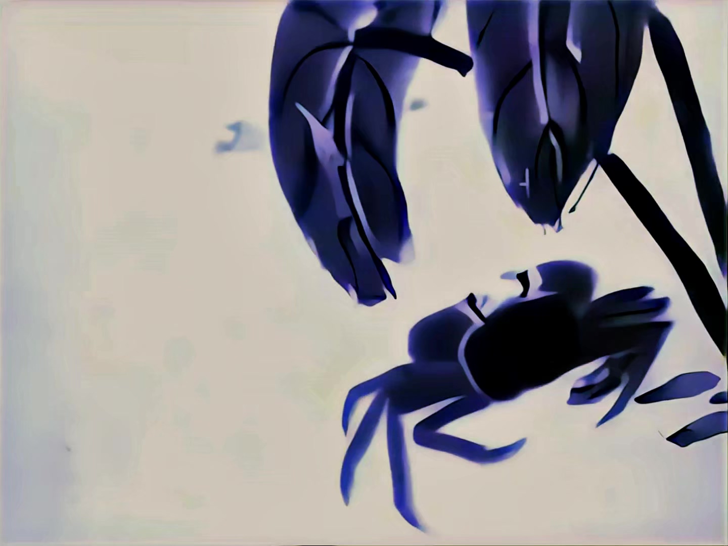 1960 水墨动画.mp4_20250512_203536.793.jpg