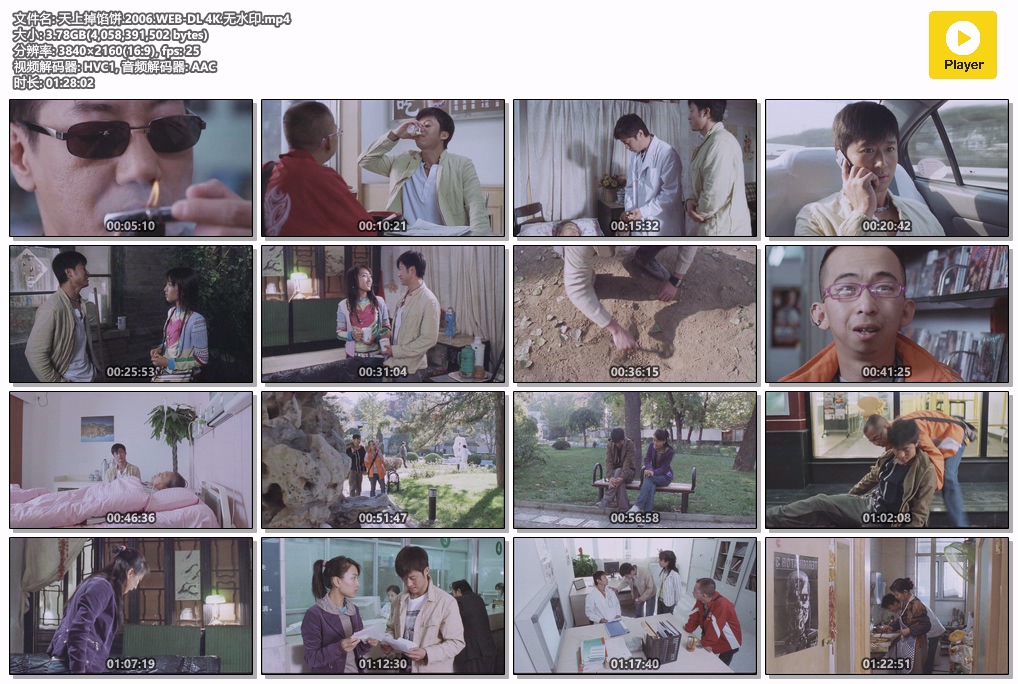 天上掉馅饼.2006.WEB-DL 4K.无水印.mp4.jpg