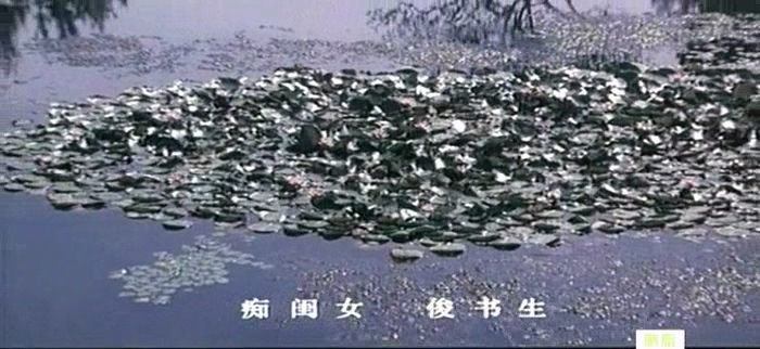 胭脂.TVRip.1980.浙江电影制片厂出品.上译配音.mkv_20250516_214434.311.jpg