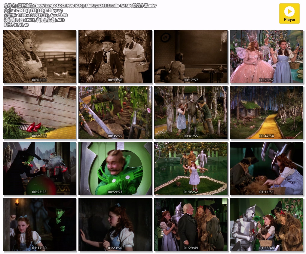 绿野仙踪.The.Wizard.Of.OZ.1939.1080p.BluRay.x265.2audio-RARBG特效字幕.mkv.jpg