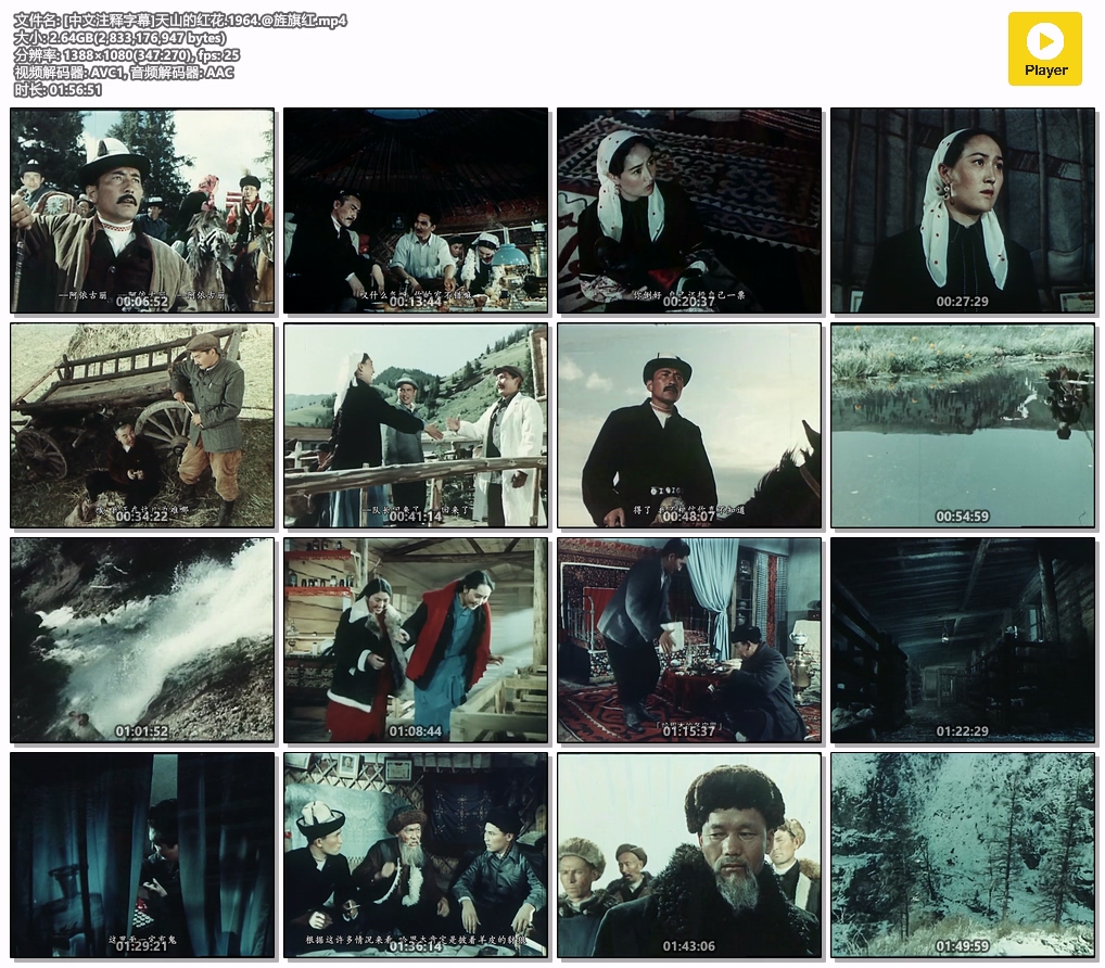 [中文注释字幕]天山的红花.1964.@旌旗红.mp4.jpg