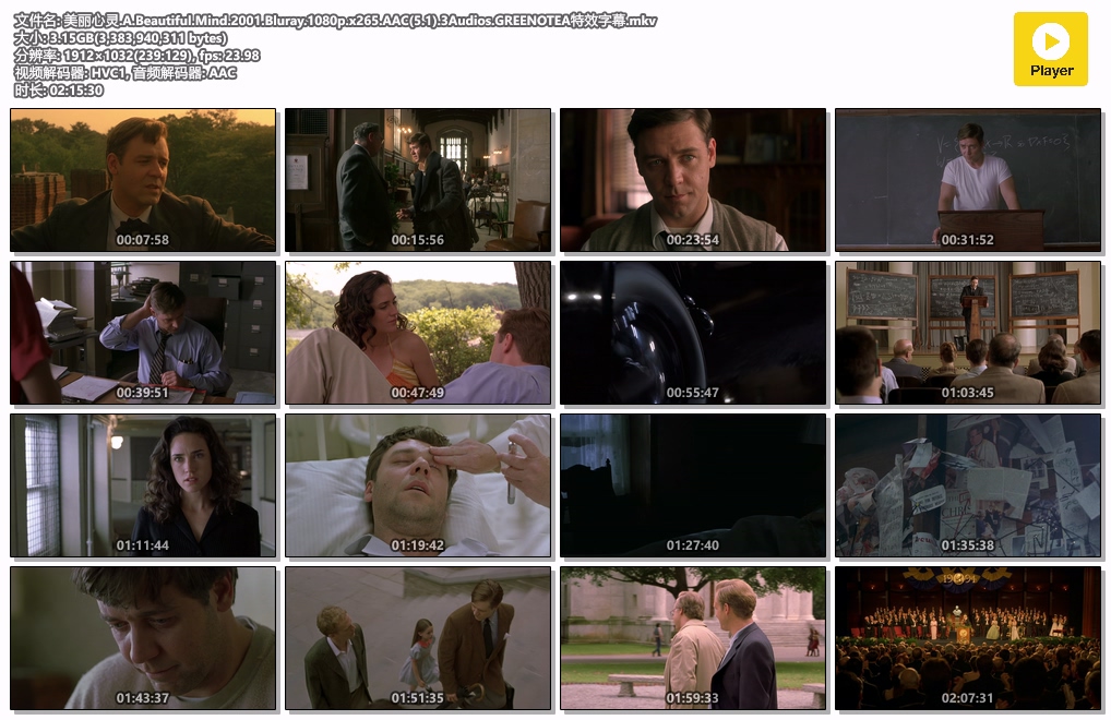 美丽心灵.A.Beautiful.Mind.2001.Bluray.1080p.x265.AAC(5.1).3Audios.GREENOTEA特效.jpg