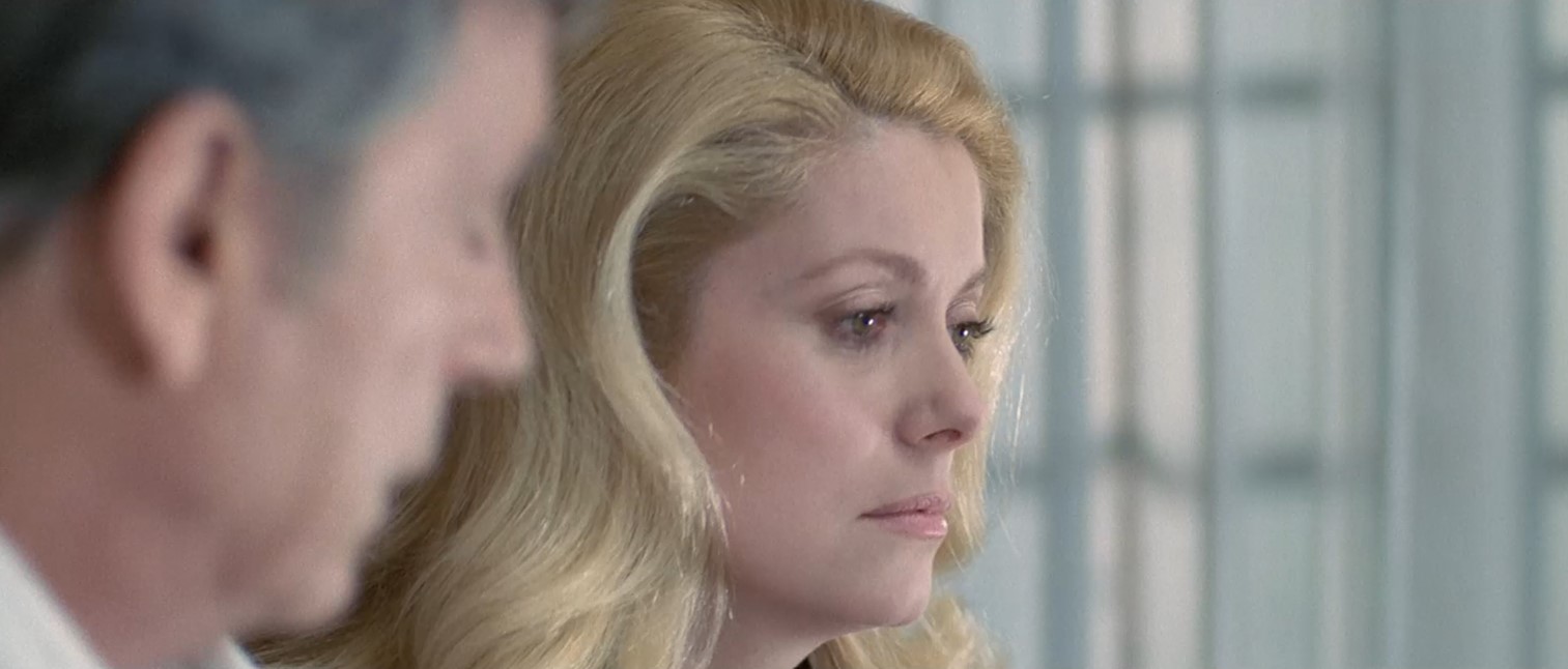 屏幕截图 2025-05-19 160431.jpg