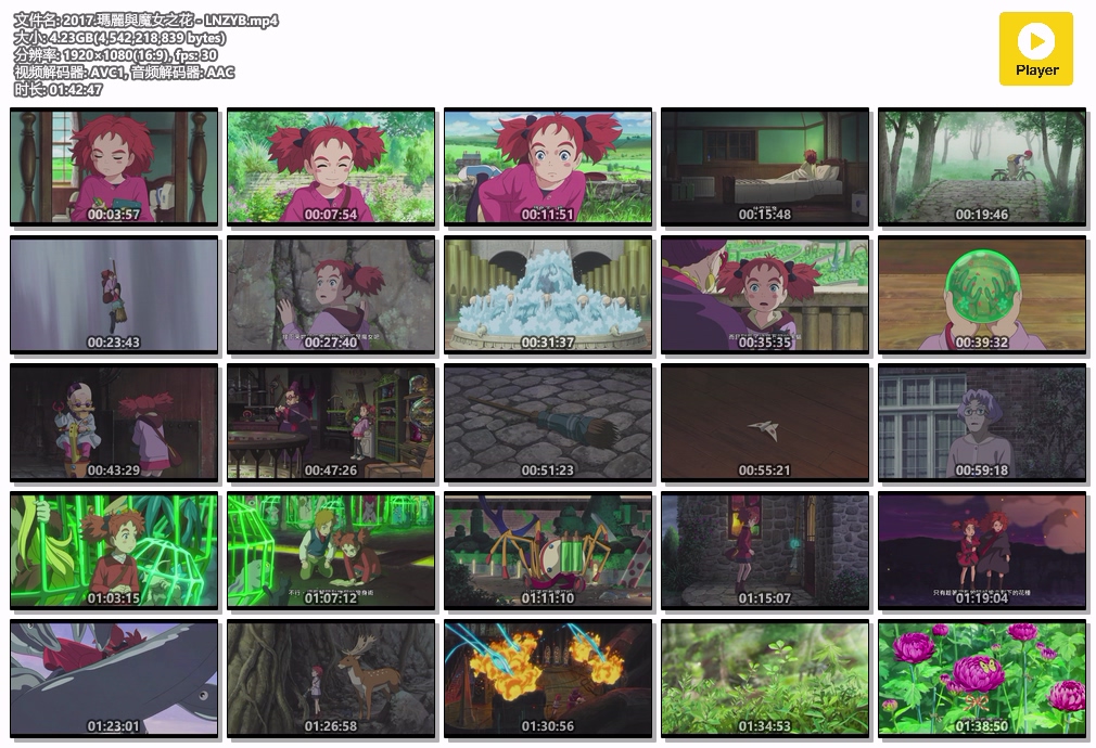 2017.瑪麗與魔女之花 - LNZYB.mp4.jpg
