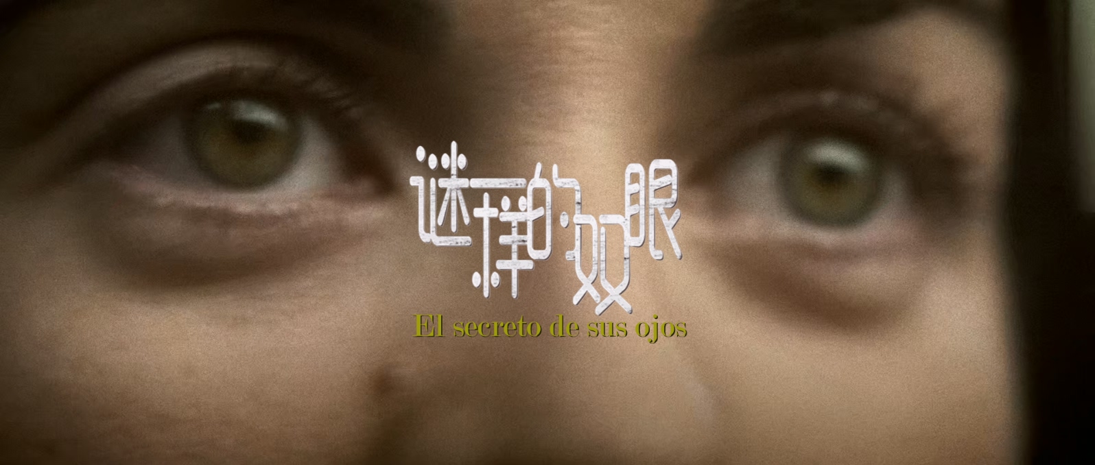 谜一样的双眼.The.Secret.in.Their.Eyes.2009.BluRay.1080p.x265.10bit.2Audio.AAC(5..jpg
