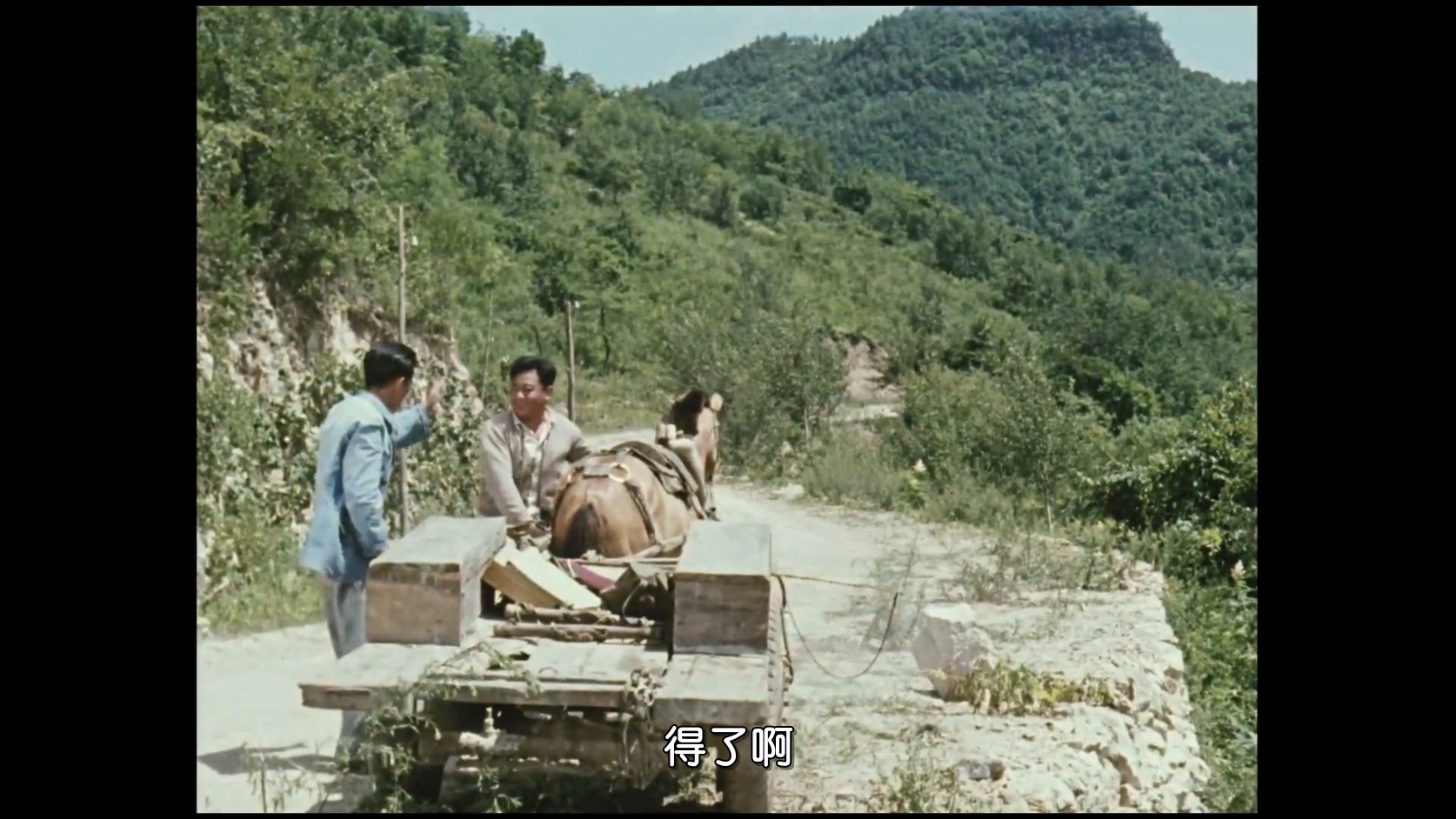 五朵金花 .mkv_20250522_104310.661.jpg