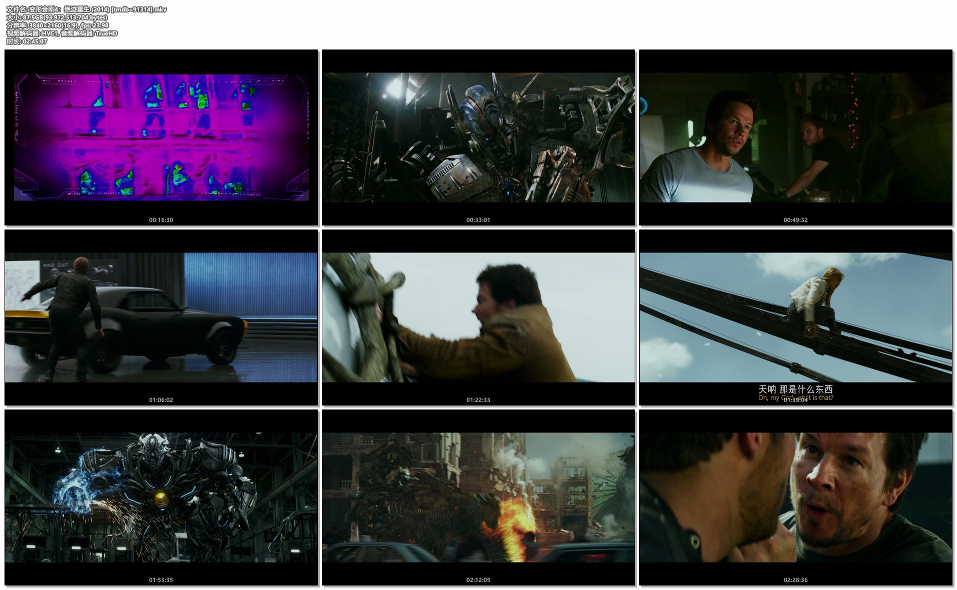 变形金刚4：绝迹重生 (2014) [tmdb=91314].mkv.png