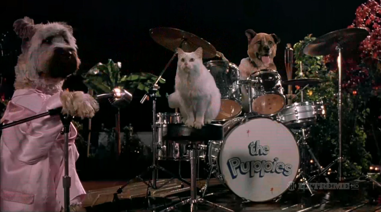 功夫神犬 (2006) 720p [AAC, AC3] [zho, eng] h264.mkv_20250526_230652.830.jpg