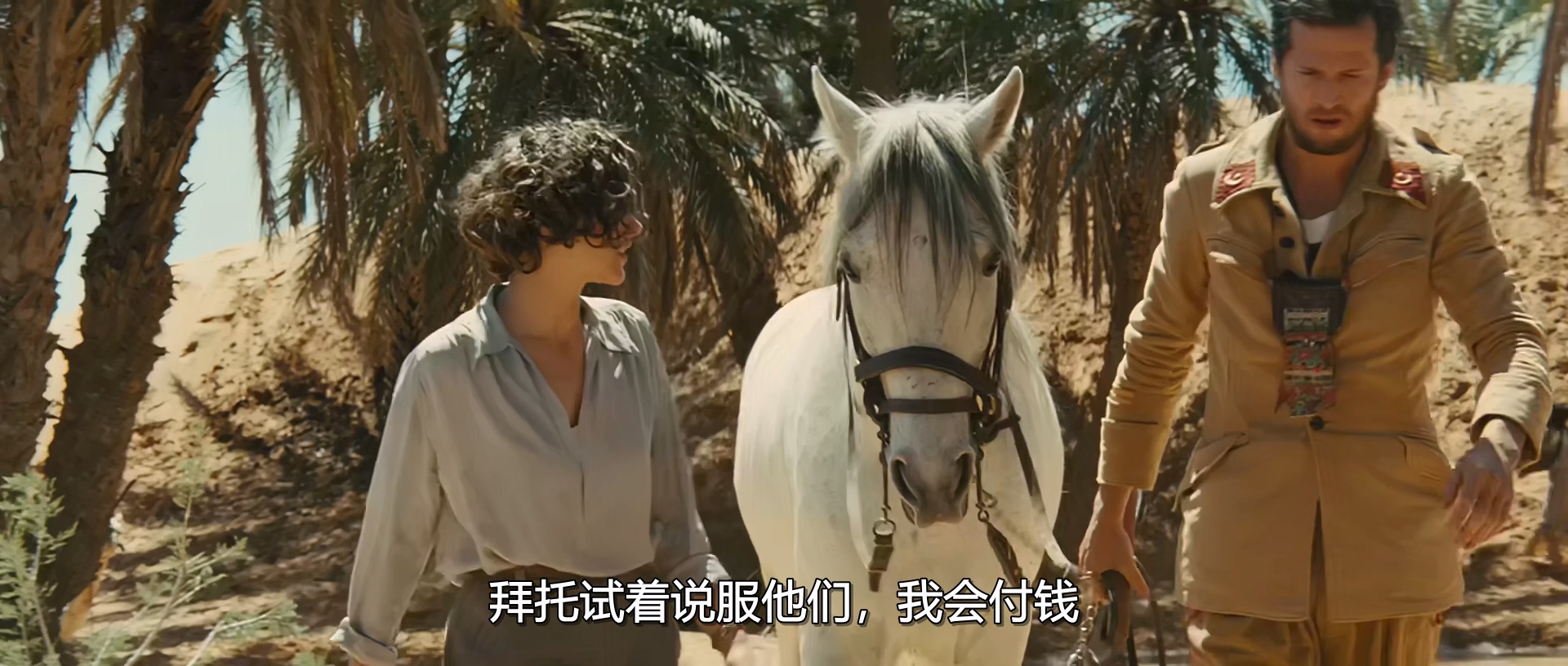 兰卡斯特的最后一次飞行 (2009) 1080p [AAC, Opus] [zho, fra] AV1.mkv_20250526_233503.357.jpg