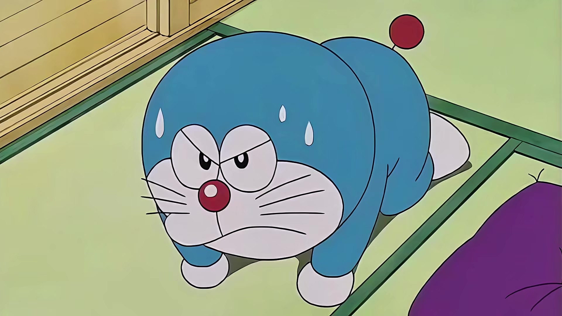 035 美好的小咪.mp4_20250526_215633.883.jpg