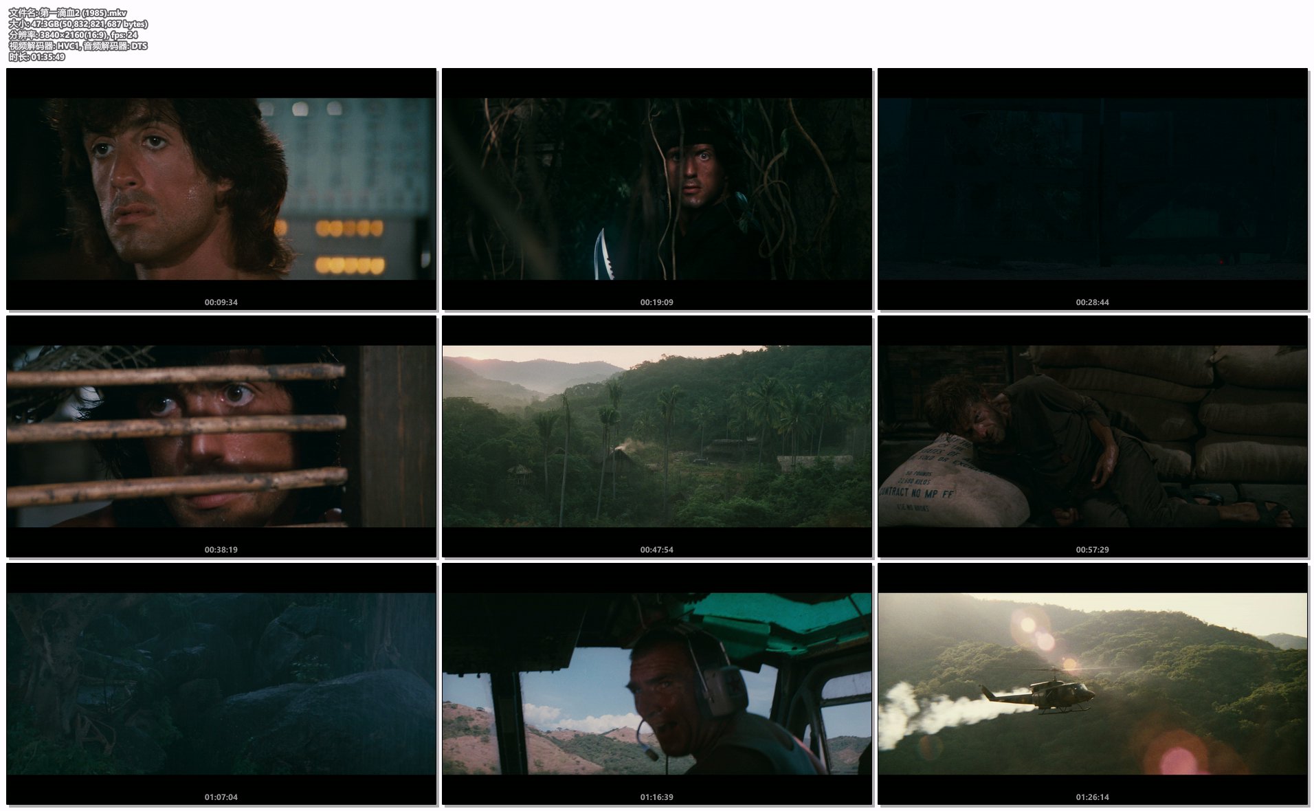 第一滴血2 (1985).mkv.png