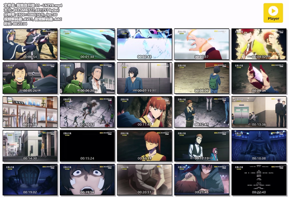 我独自升级 01 - LNZYB.mp4.jpg