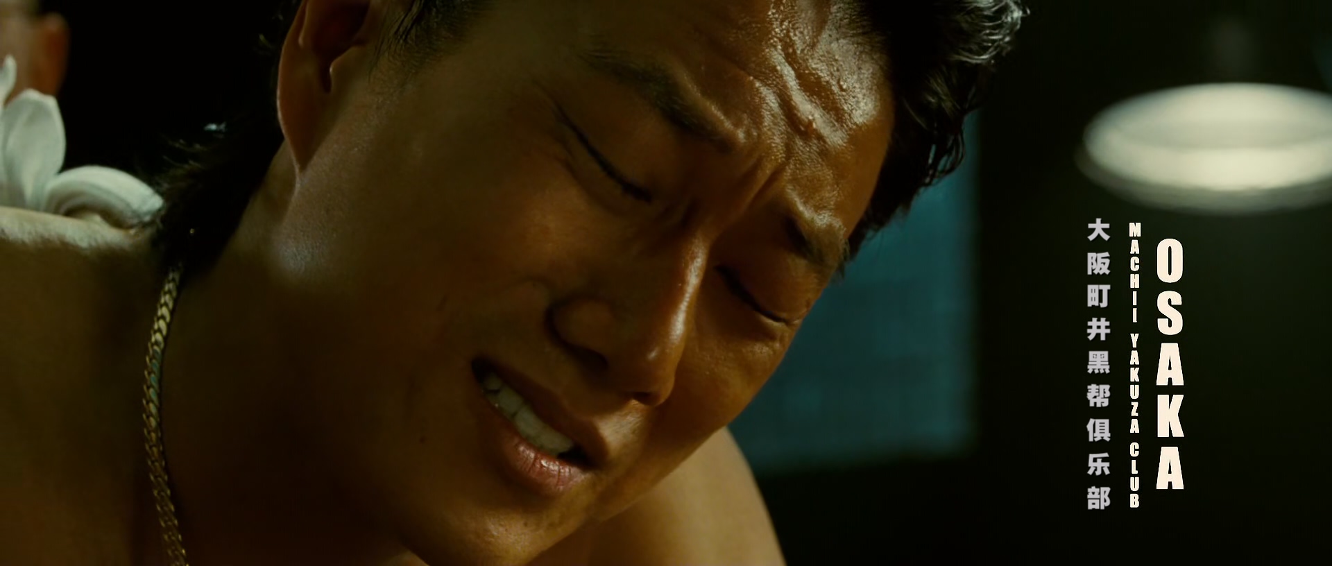 忍者刺客.Ninja Assassin 2009 1080p BluRay x265 HEVC 10bit 2audio-LordVako特效字.jpg