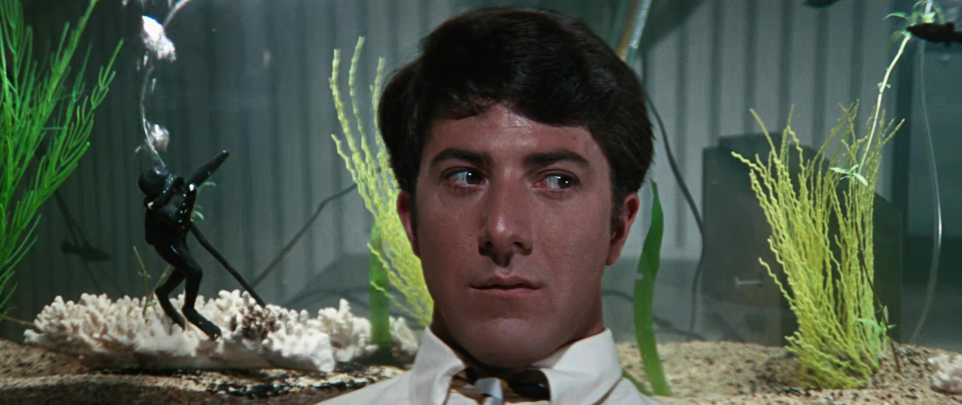 1967 毕业生 The_Graduate.mkv_20250601_123753.721.jpg