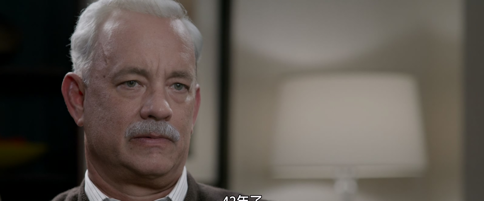 萨利机长.Sully.2016.1080p.x265.10bit.2audio.Tigole特效字幕.mkv_20250602_101542.548.jpg