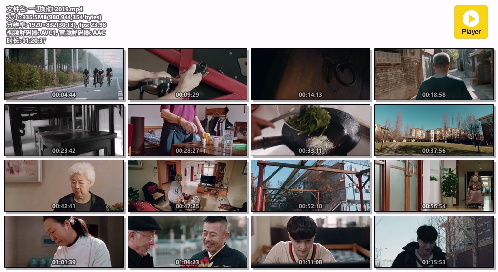 一切如你 2019.mp4.jpg