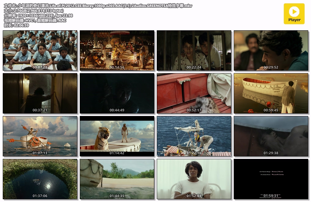 少年派的奇幻漂流.Life.of.Pi.2012.CEE.Bluray.1080p.x265.AAC(5.1).2Audios.GREENOTE.jpg