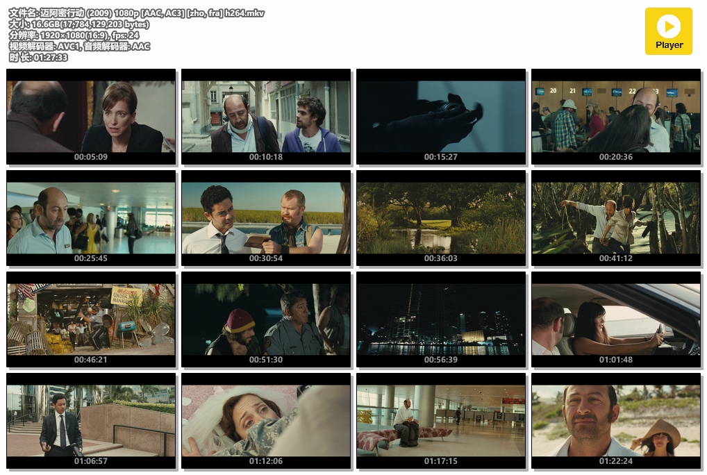 迈阿密行动 (2009) 1080p [AAC, AC3] [zho, fra] h264.mkv.jpg