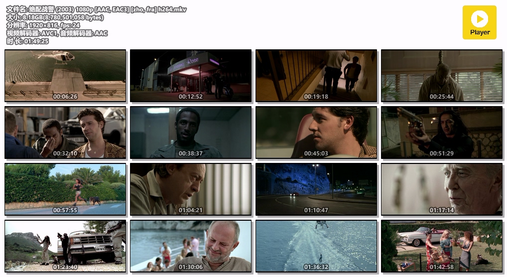 绝配战警 (2003) 1080p [AAC, EAC3] [zho, fra] h264.mkv.jpg