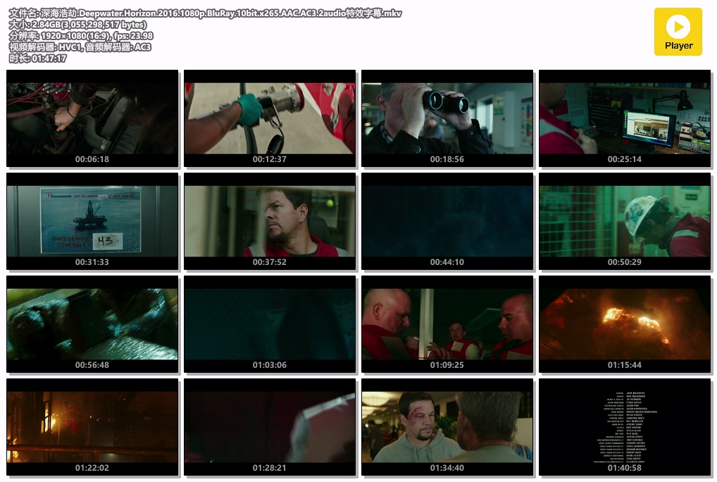 深海浩劫.Deepwater.Horizon.2016.1080p.BluRay.10bit.x265.AAC.AC3.2audio特效字幕.mkv.jpg