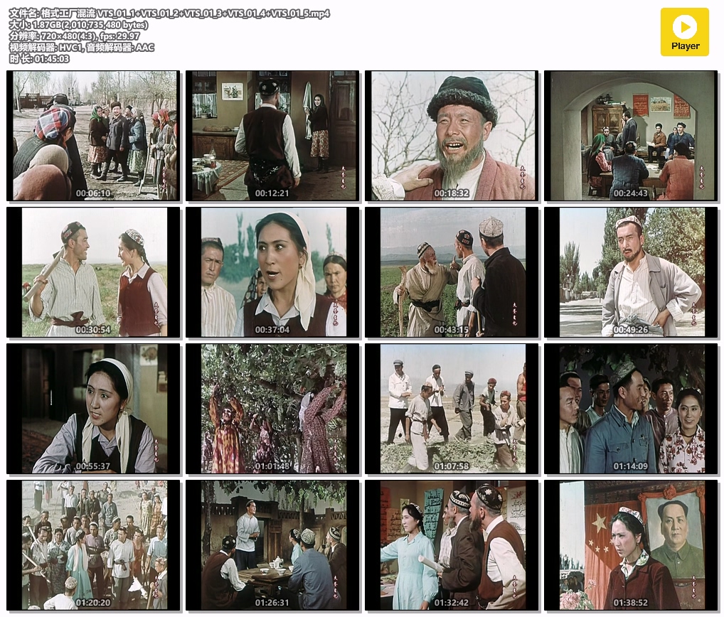 格式工厂混流 VTS_01_1 VTS_01_2 VTS_01_3 VTS_01_4 VTS_01_5.mp4.jpg