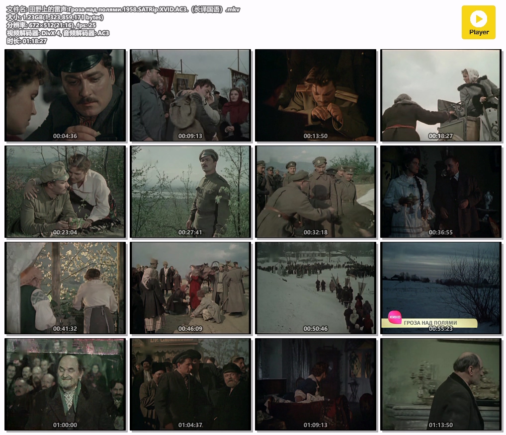 田野上的雷声.Гроза над полями.1958.SATRip.XVID.AC3.（长译国语）.mkv.jpg