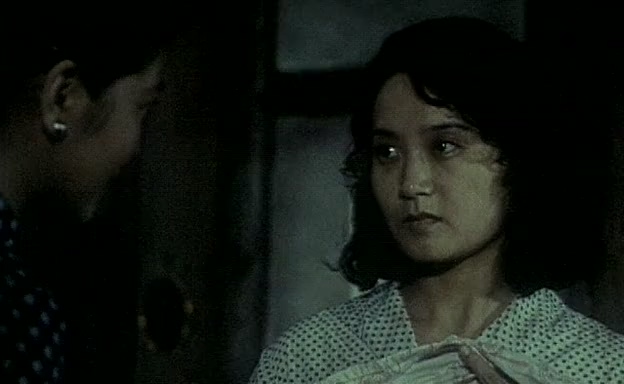 孤岭野店.Wild Mountain Inn.1988.DVD.X264.AAC.mkv_20250604_225344.637.jpg