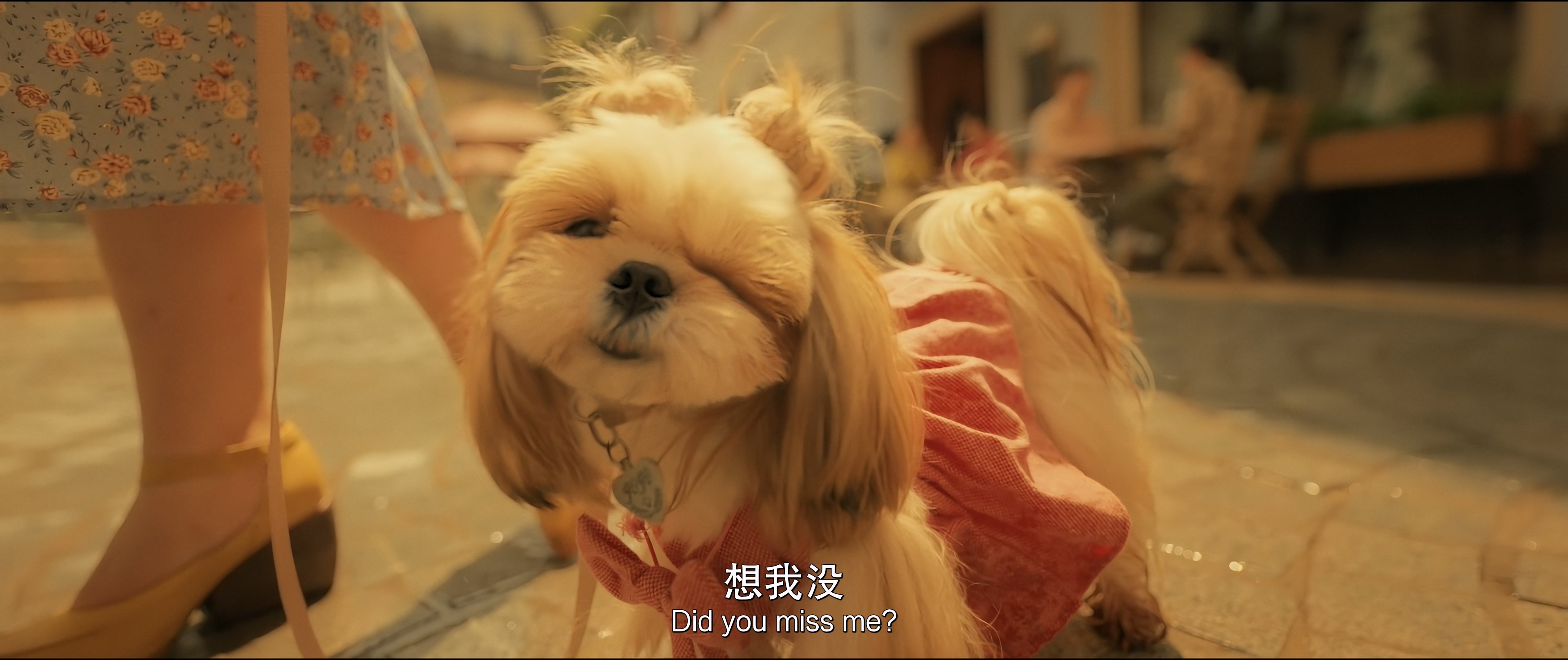 Puppy.Love.2023.2160p.HQ.WEB-DL.H265.DDP2.0-DreamHD.mkv_20250606_093657.498.jpg