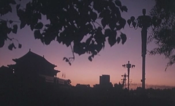 大地之子.Son Fo The Earth.1982.DVD.X264.AAC(0：-)-.mkv_20250606_202440.368.jpg