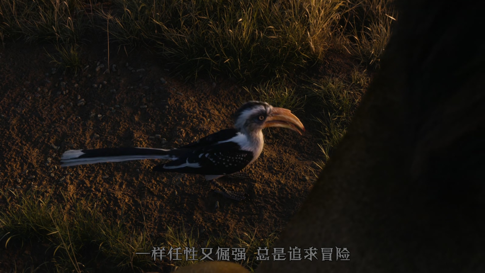 狮子王The.Lion.King.2019.1080p.10bit.BluRay.8CH.x265.HEVC3audio特效字幕-PSA.mkv_.jpg