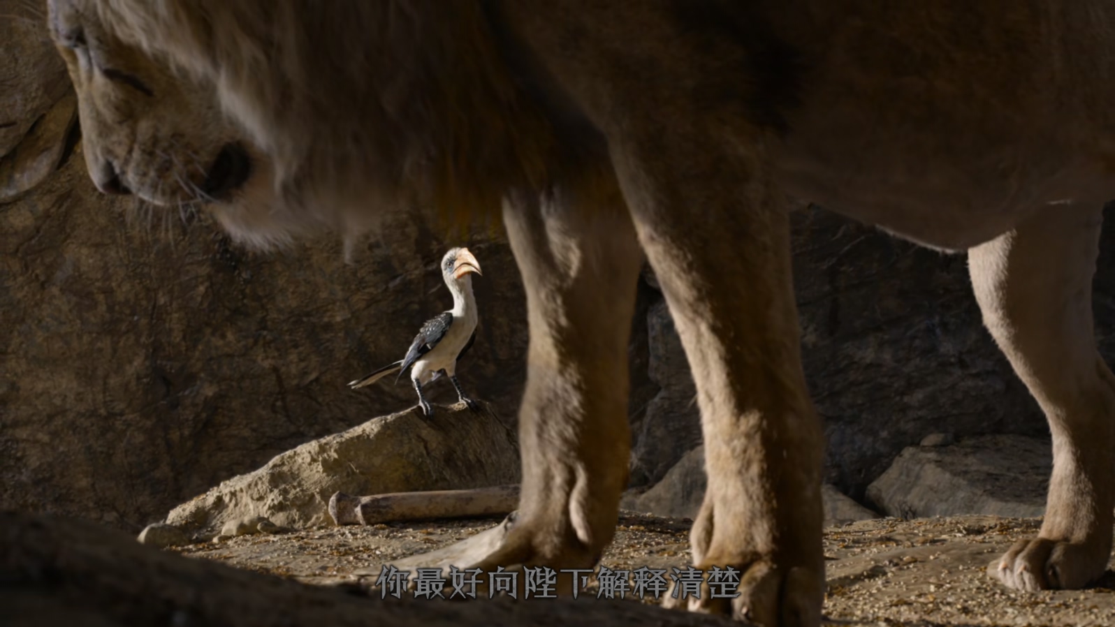 狮子王The.Lion.King.2019.1080p.10bit.BluRay.8CH.x265.HEVC3audio特效字幕-PSA.mkv_.jpg