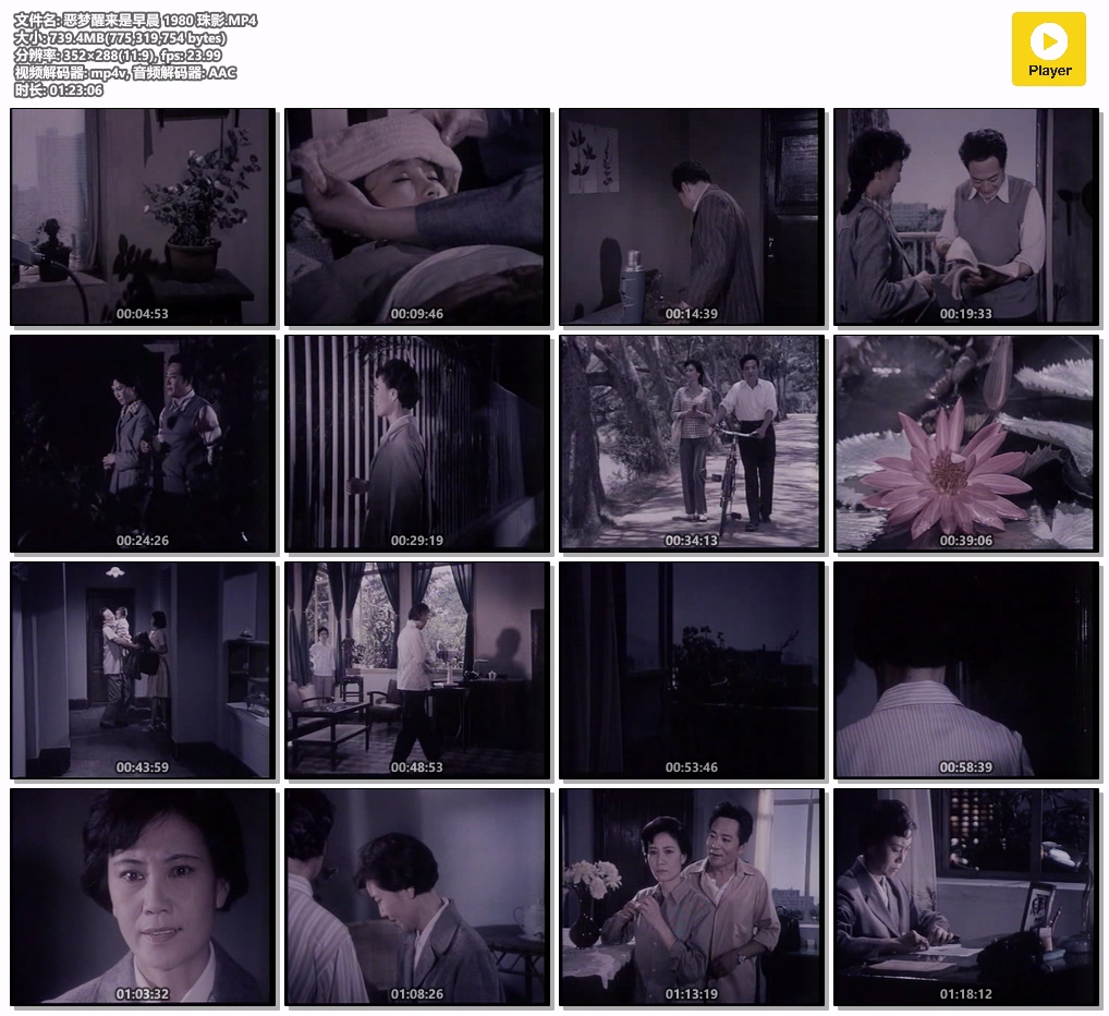 恶梦醒来是早晨 1980 珠影.MP4.jpg