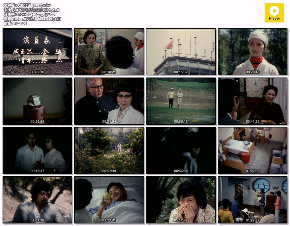 大雁北飞 (1982).mkv.jpg