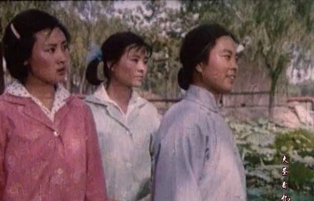 红柳绿柳.Red_green_willow.1982.DVD.X264.AAC.mkv_20250611_180731.596.jpg