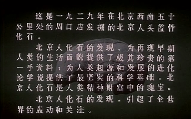 世界奇案的最后线索.The Last Clue of the Big Case.1985.DVD.X264.AAC.HALFCD.mkv_20.jpg