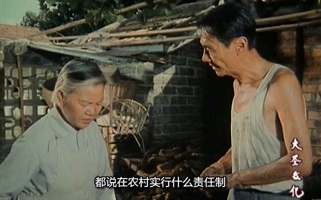 春晖.chun Hui.1982.DVD.X264.AAC(0：-)-.mkv_20250611_184333.589.jpg