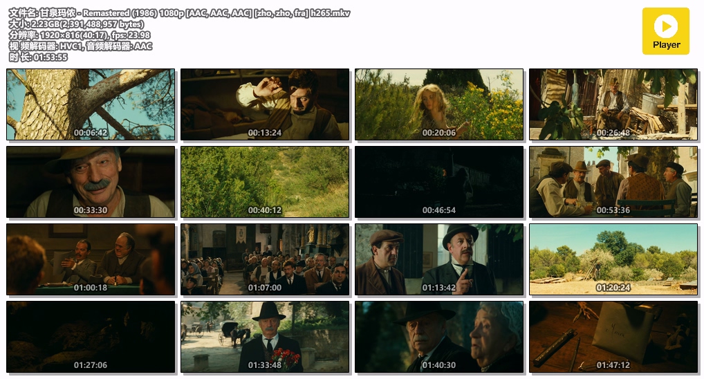 甘泉玛侬 - Remastered (1986) 1080p [AAC, AAC, AAC] [zho, zho, fra] h265.mkv.jpg